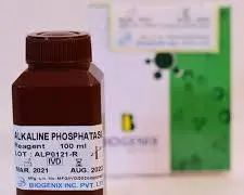 Alkaline Phosphatase